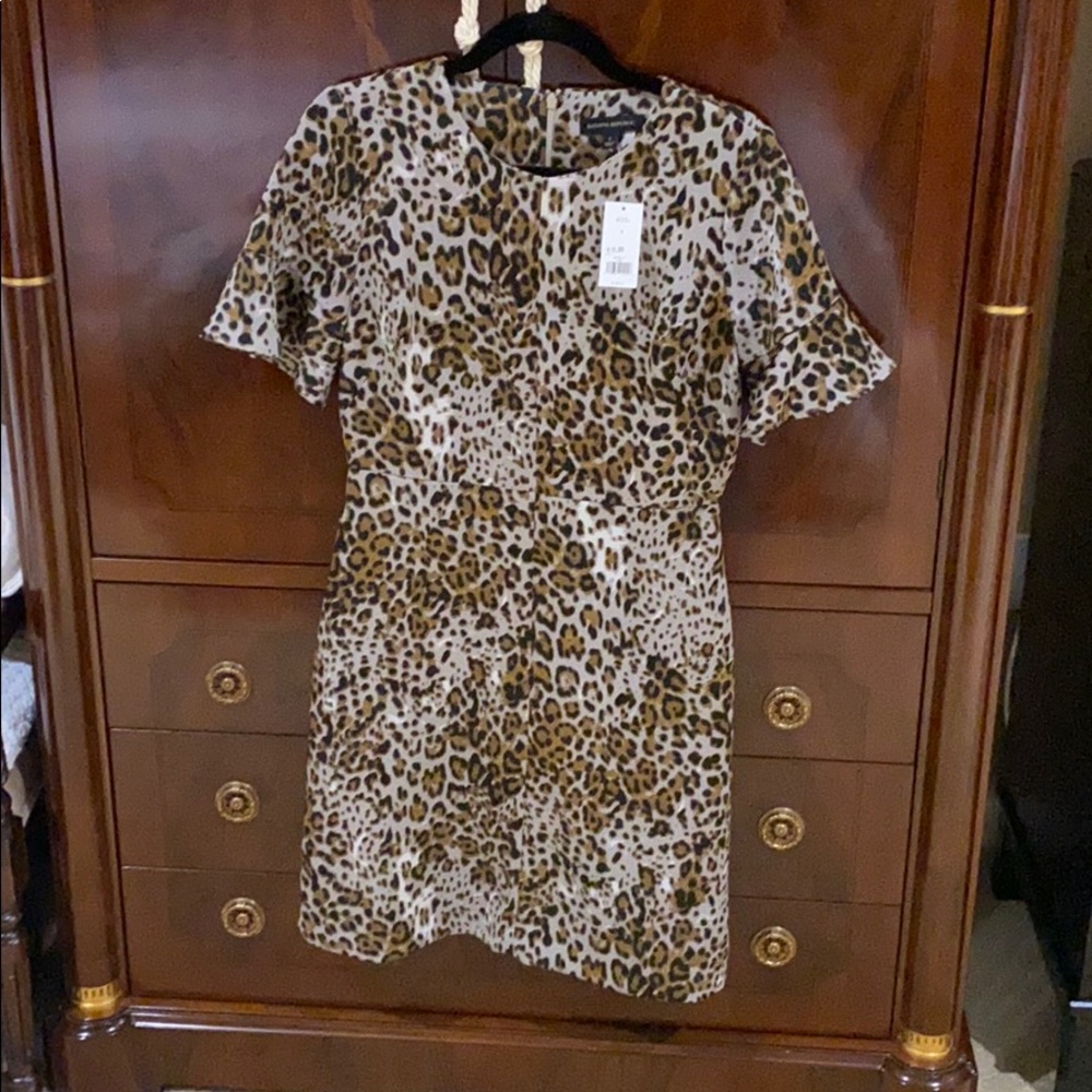 Leopard NBW with tag Banana Republic Dress.